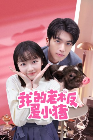 Sếp Của Tôi Là Chú Lợn Nhỏ - My Piggy Boss